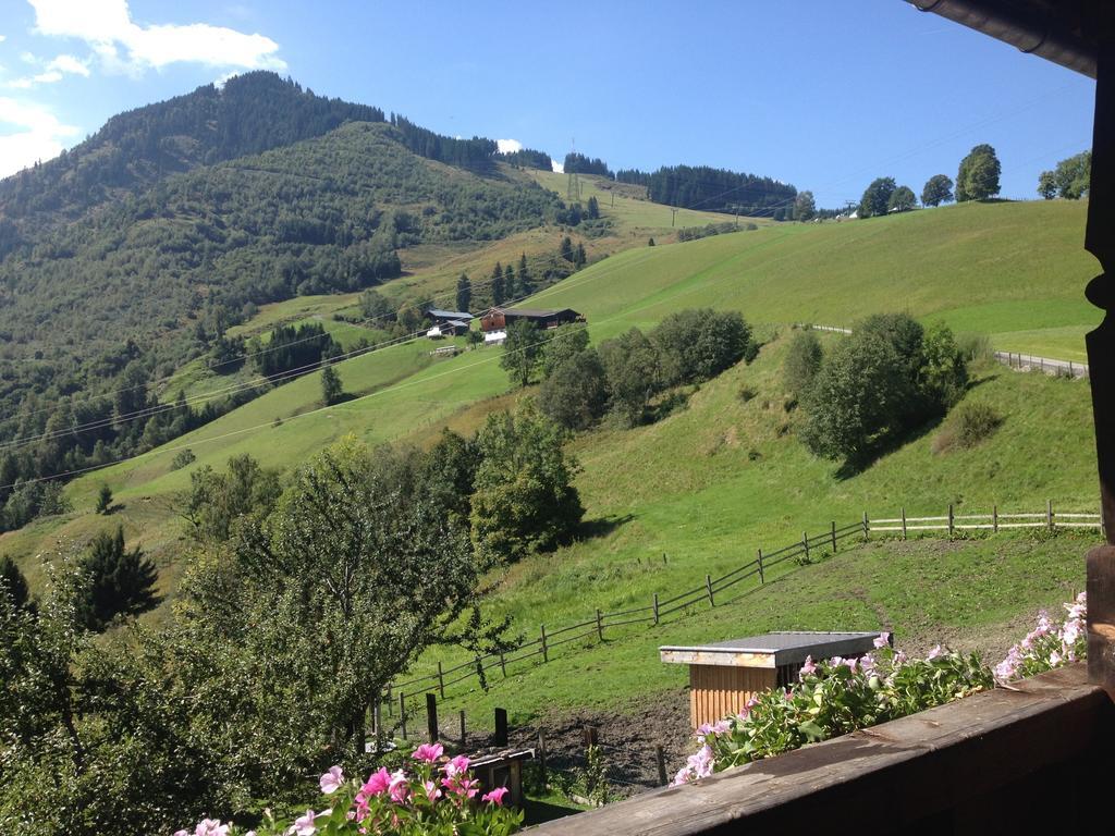 Weisssteinalm Villa Kaprun Bilik gambar