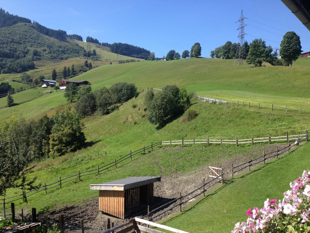 Weisssteinalm Villa Kaprun Luaran gambar